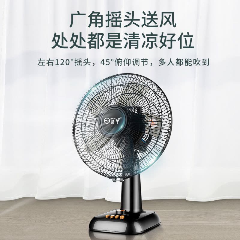 扬子电风扇台扇家用大风力台式桌面办公室宿舍小电扇耐用实惠价老品牌学生宿舍厂房 12寸黑色塑叶图片