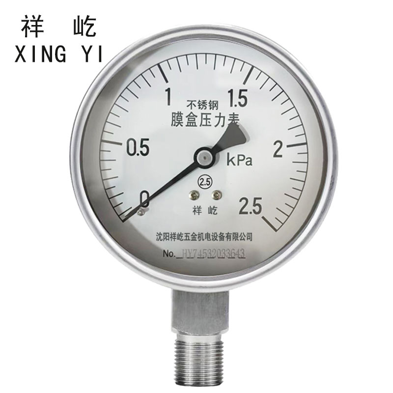 祥屹 不锈钢膜盒压力表检测定制型 YE100BF 块