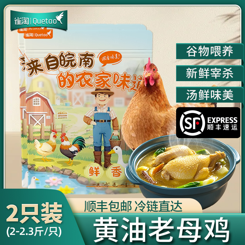 【苏鲜生推荐】雀淘 正宗皖南黄油老母鸡2-2.3斤/只 2只装 新鲜现杀 整鸡净膛冷冻竹林慢养鸡走地鸡