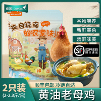 【苏鲜生推荐】雀淘 正宗皖南黄油老母鸡2-2.3斤/只 2只装 新鲜现杀 整鸡净膛冷冻竹林慢养鸡走地鸡