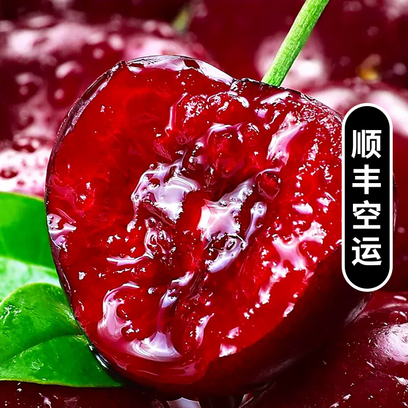 顺丰空运[西沛生鲜]新鲜美国车厘子 净重3斤 9.5R 新鲜水果 大樱桃 黑珍珠 酸甜可口
