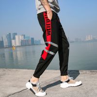 梵克公牛男常规休闲卫牌裤子男韩版束脚小脚裤春