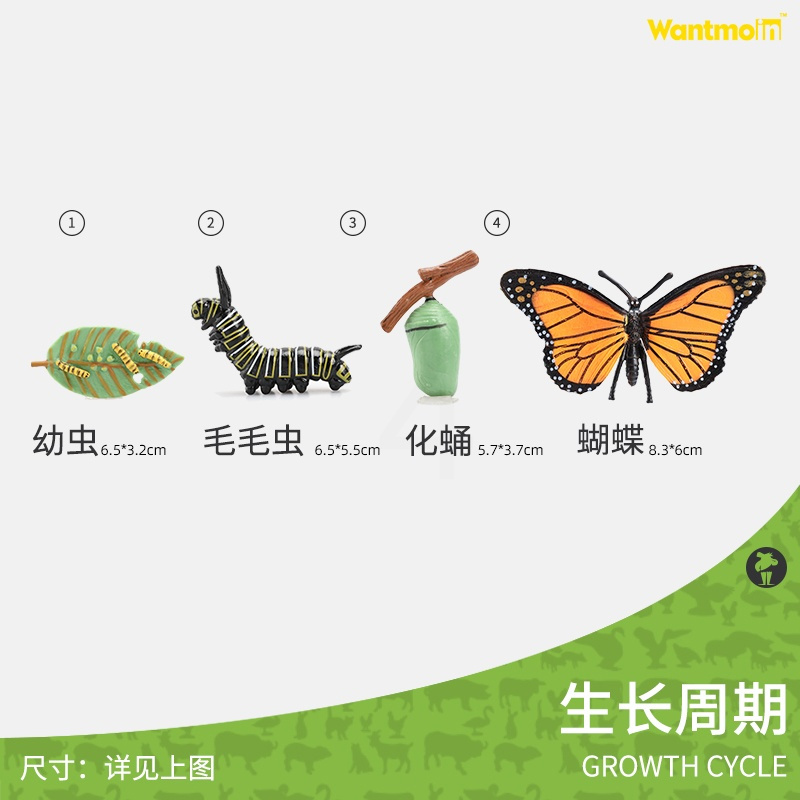 蝴蝶生长周期| 4只装 儿童仿真动物模型生长过程生命周期科教玩具蜘蛛瓢虫蜜蜂青蛙蝴蝶