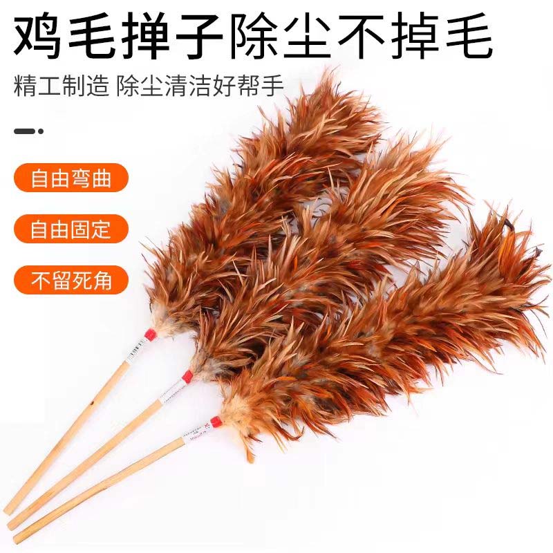 长鸡毛掸180cm高清大图