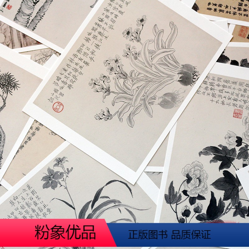 【正版】旗舰出类艺术画片集 金农II 32帧历代名家经典中国画册页礼盒装文艺唯美世界名画装饰画版画创意送礼鉴赏收藏小清