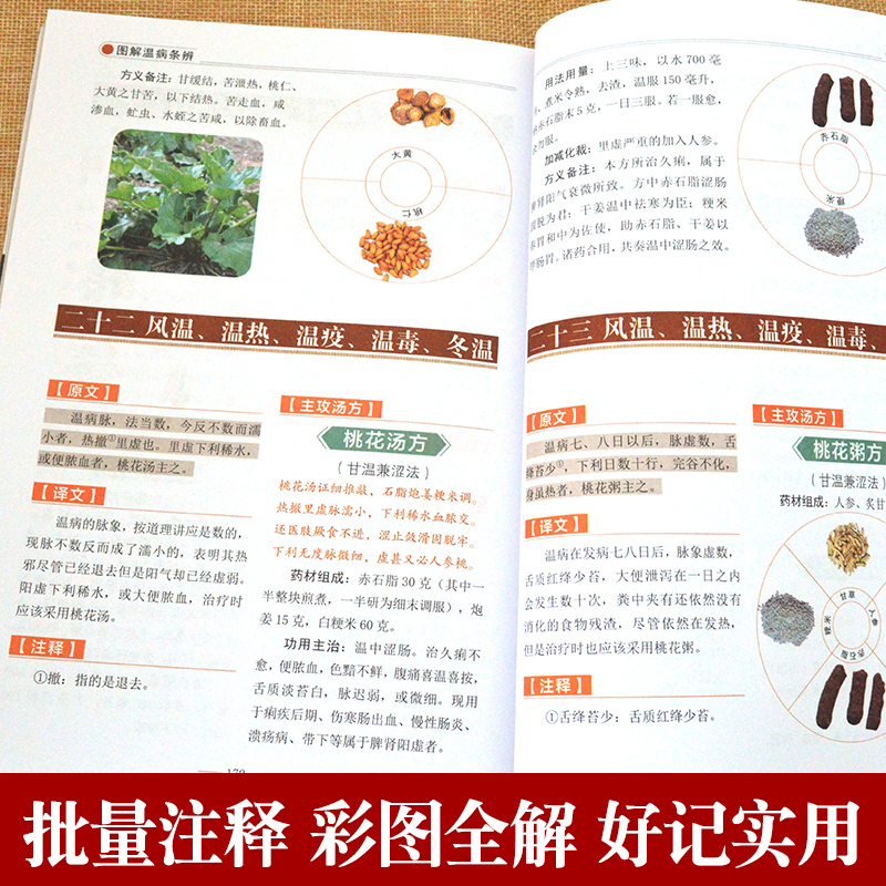 [正版]图解温病条辩通原著全集老偏方家庭中老年保健养生书白话解中医养生书籍大全医学全书中医知识自学入门零基础学中医古籍出