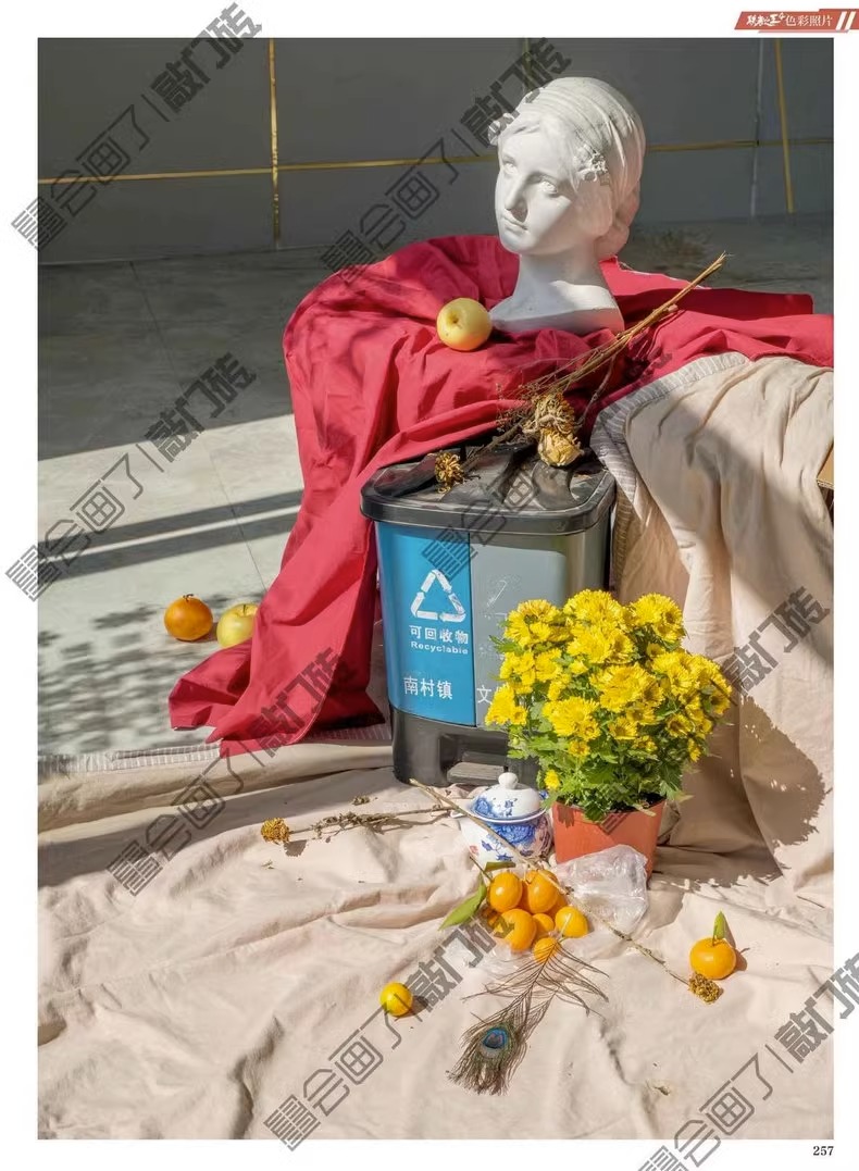 [正版]联考之王4色彩照片 2023敲门砖钟伟安高清大图