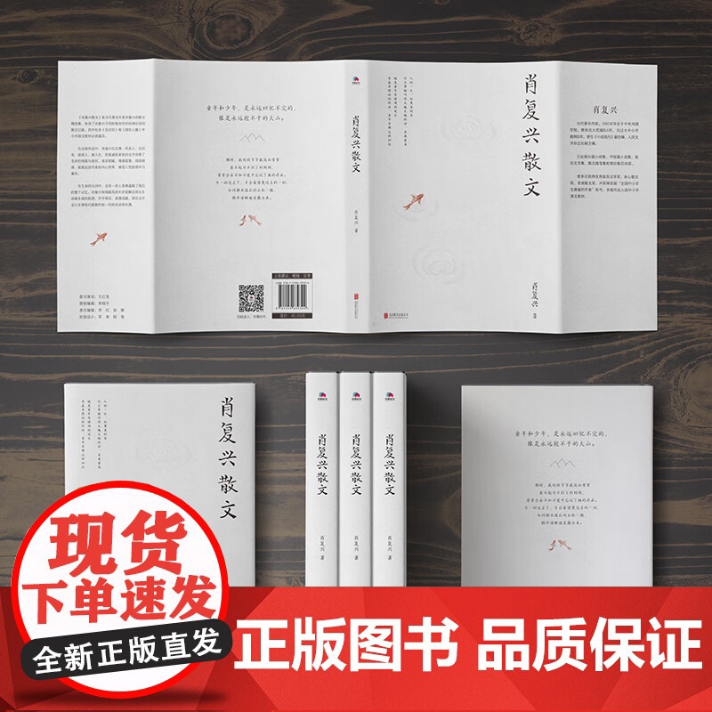 肖复兴散文 肖复兴著 收录花边饺和拥你入睡中小学语文阅读篇目 手绘插图 现当代文学散文精选集名家作品 978755963高清大图