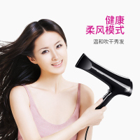 飞科(FLYCO)电吹风 FH6270 六档变速调控负离子护发健康柔风2200W家用吹风机