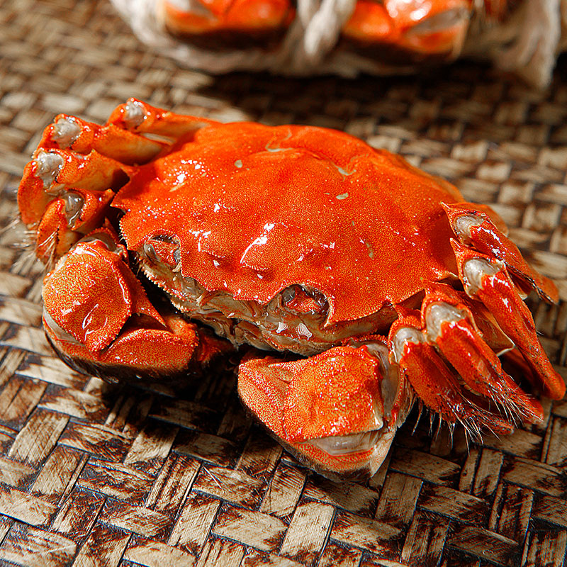 5两12只装公母随机大螃蟹鲜甜满黄直达到家死蟹包赔