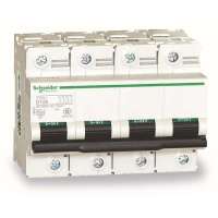 施耐德 Schneider Electric 小型断路器C120L 4P D63A(包装数量 1个)
