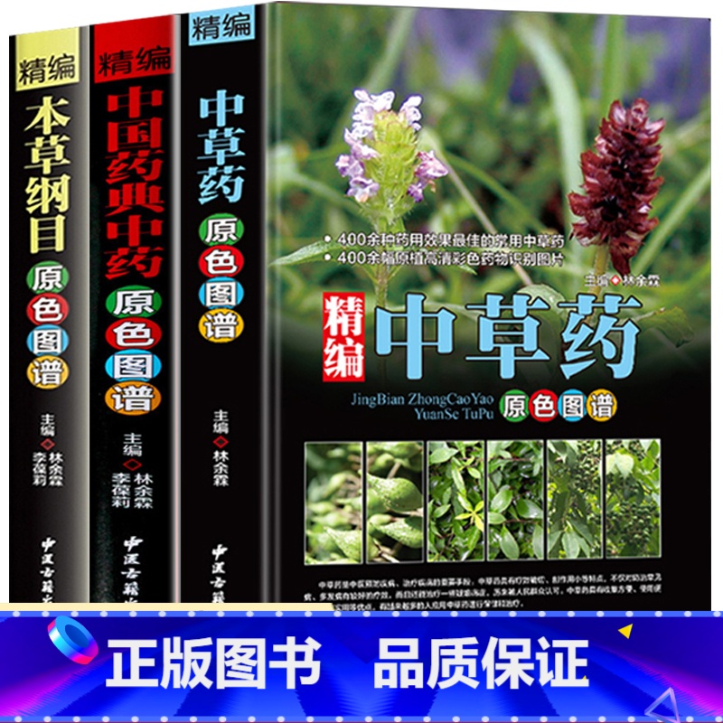 [正版]全3册精编中草药+本草纲目+中国药典中药原色图谱 中草药全图鉴速查手册图谱中国药材图鉴大全常用中草药识别应用中高清大图