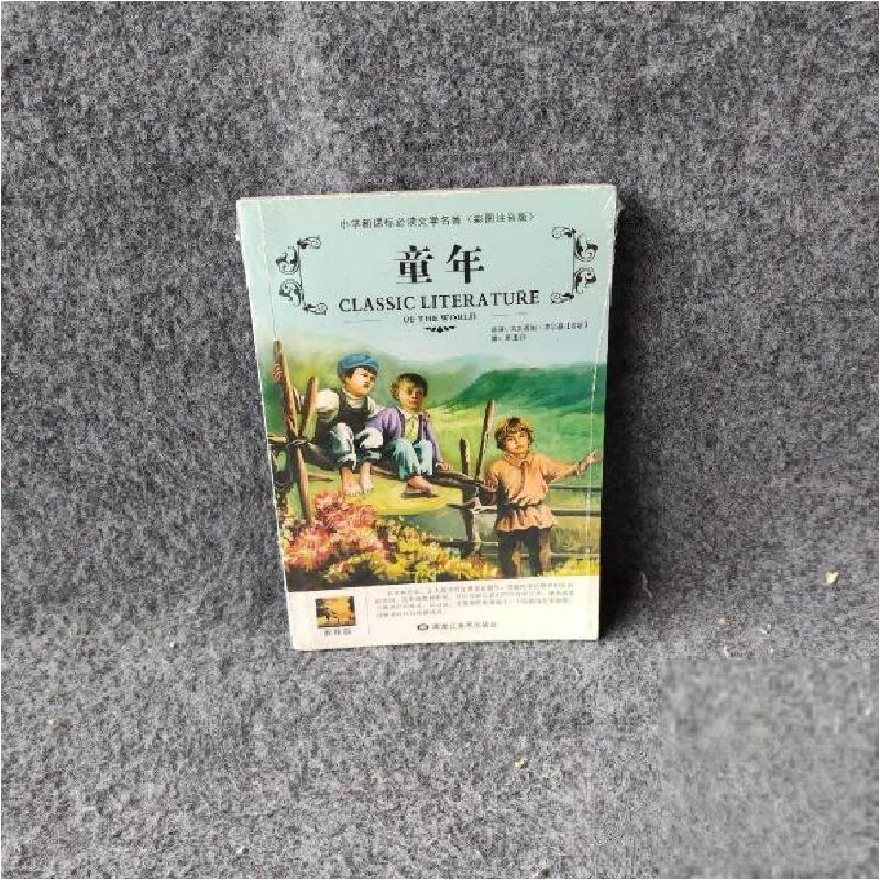 正版新书]童年高尔基9787531866817高清大图