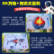 大英儿童百科知识清单 [正版]小学生礼物 DK万物大百科知识博物大百科全套2册 一二三四五六年级阅读课外书籍十万个为什么
