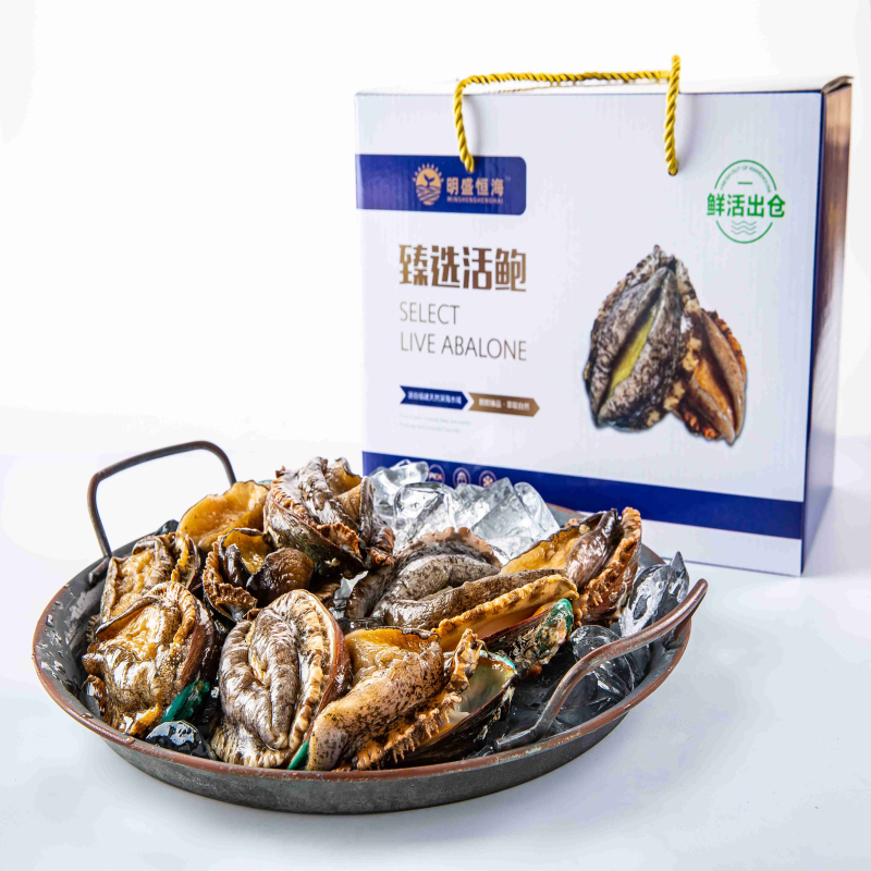 明盛恒海 甄选活鲍8头鲍/3斤