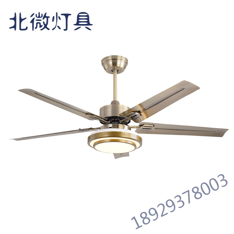 现代简约带灯吊扇不锈钢餐厅吊扇灯带风扇变频家用吊风扇灯