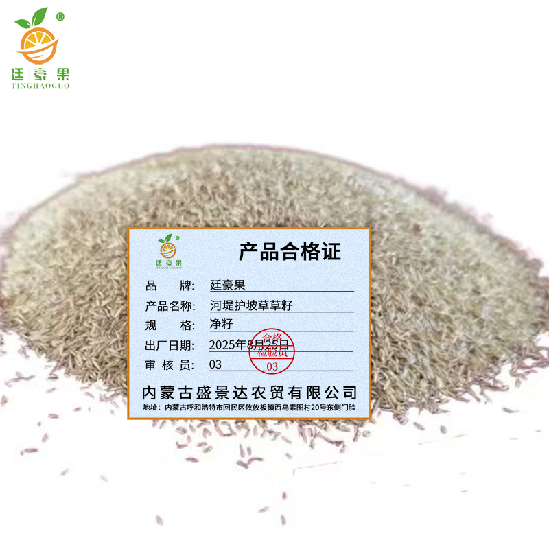 廷豪果 河堤护坡草草籽 护坡种子 净籽 /千克高清大图