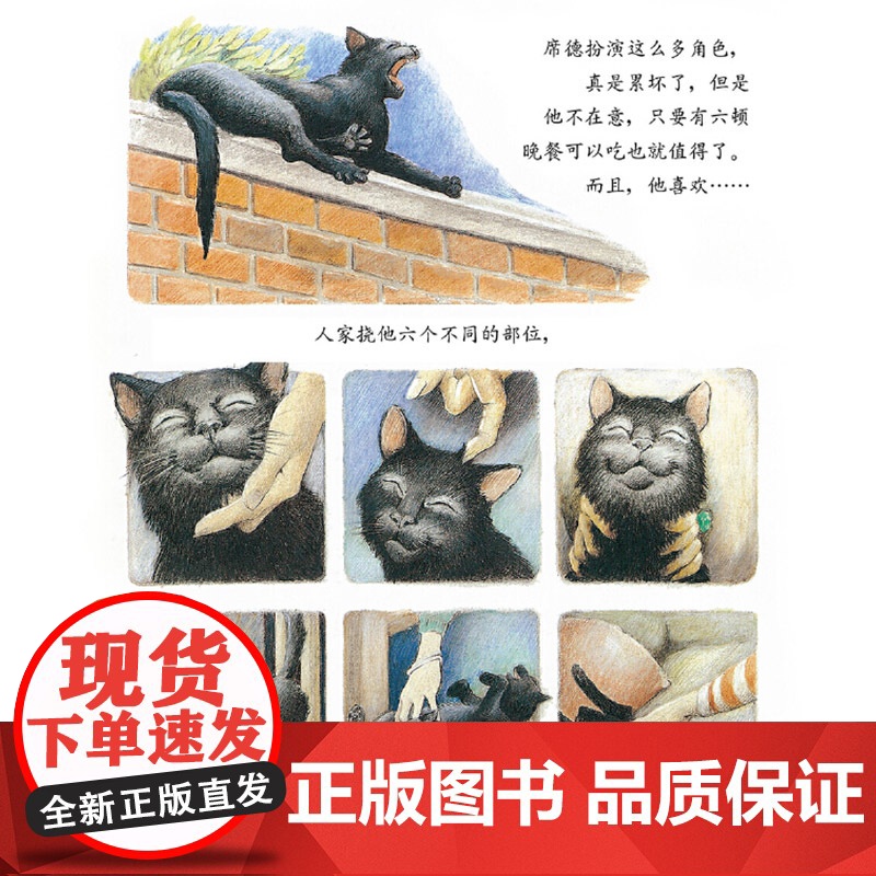 吃六顿晚餐的猫硬壳精装儿童绘本图画书和英童书扫码听故事正版书籍高清大图
