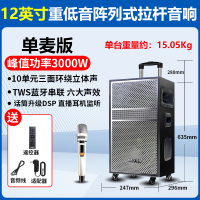 夏新(AMOI)户外拉杆音响OK-11 单麦版