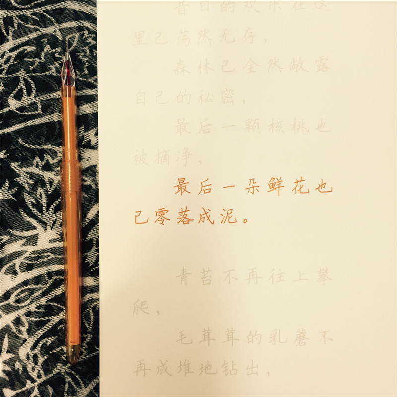 [醉染正版]书写四季秋田英章田雪松硬笔楷书描临本书法篆刻技法行楷练字帖成人学生钢笔字帖唯美读写四季的诗词散文硬笔楷书临摹高清大图