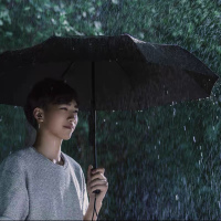 小米 米家自动折叠雨伞
