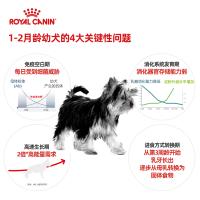 ROYAL CANIN 皇家狗粮 MIS30小型犬奶糕 幼犬狗粮 2月龄以下 全价粮 1kg 断奶离乳期