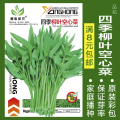 蔬菜种子四季播种阳台农家盆栽香菜菠菜生菜韭菜小葱草莓籽孑大四 均码 四季柳叶空心菜约50粒