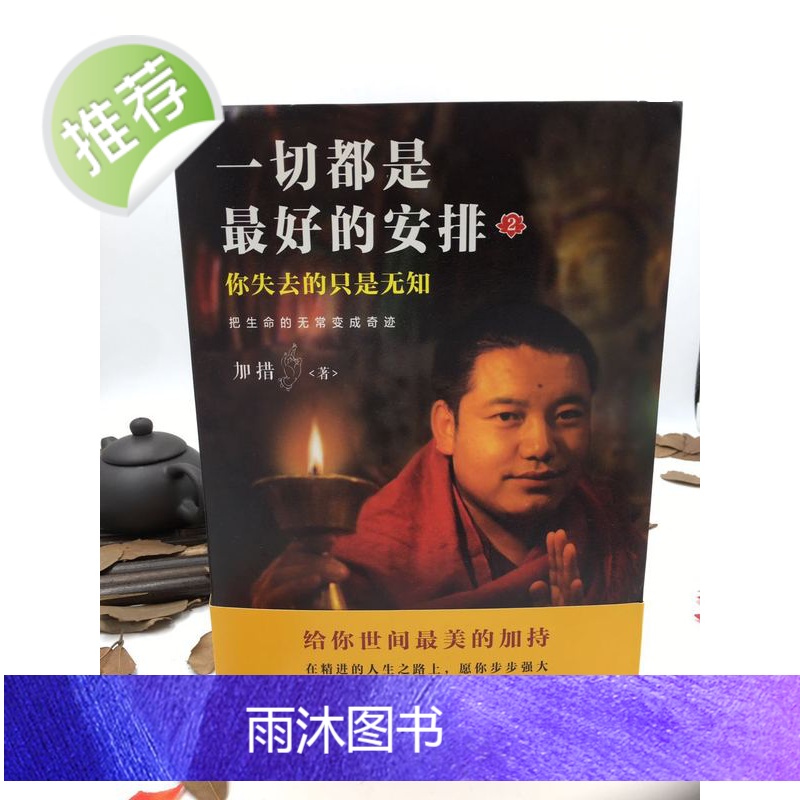 正版 一切都是最好的安排2 把生命的无常变成奇迹 加措活佛 索甲仁波切推荐 国际文化出版公司高清大图