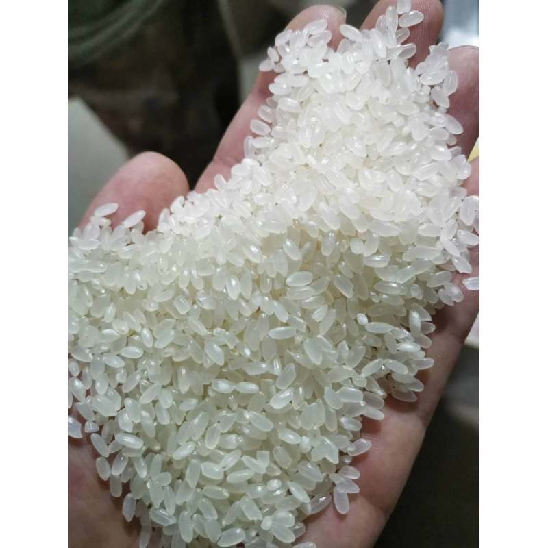 [江苏乡村振兴][财政集采][灌南] 禾犇家庭农场和犇虾塘大米 5KG