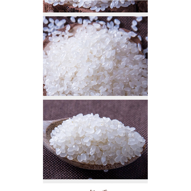 十月稻田 飘云款东北大米5KG高清大图