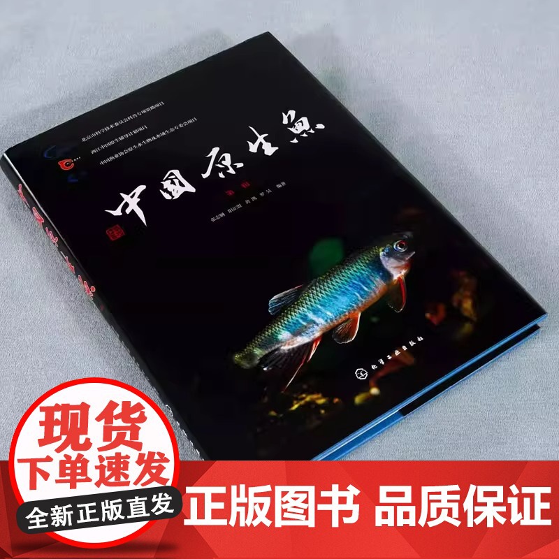 正版中国原生鱼 第一辑 化学工业出版社 观赏鱼原生观赏鱼图鉴书淡水鱼类溪流冷水鱼观赏鱼 鱼类科普书海洋生物知识书籍高清大图