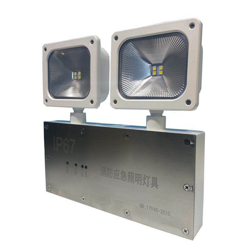 LHDQ 领航电器 LH3407 应急照明灯具 8W 应急时间90min 冷光 220V IP67