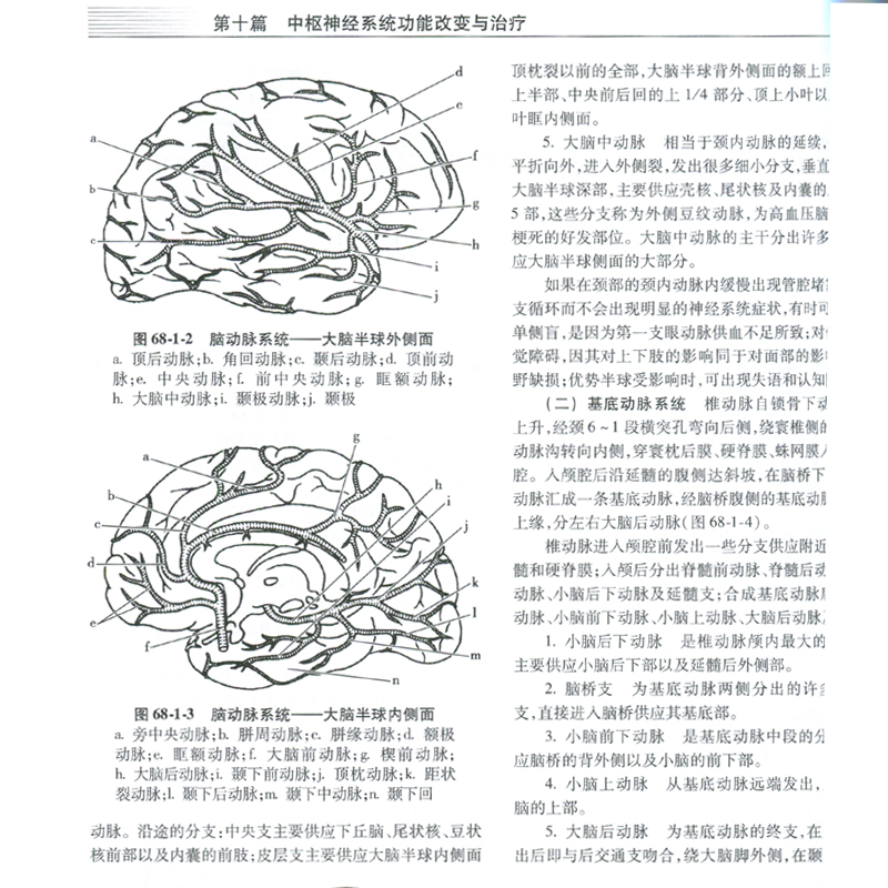 [正版]临床实用重症医学第2版第二版刘大为主编 实用重症书籍危重症医学教程急诊医学实用适于重症医学内科学急诊科人民卫生高清大图