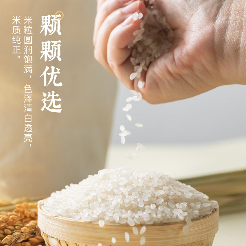 隆平农场 耐盐碱大米助农款5kg 珍珠米东北大米 寿司米 粥米10斤 耐盐碱大米5kg高清大图