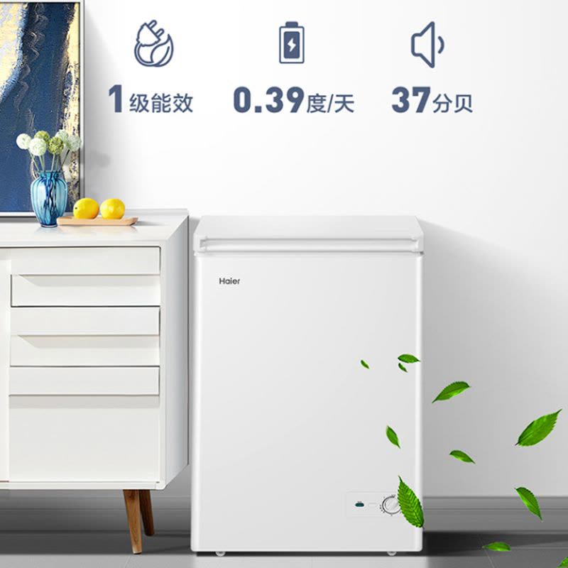 海尔(Haier)100升 家用卧式冰柜 冷柜 小冰箱 减霜80% 一级能效 断电保护 带脚轮BC/BD-100GHDT图片