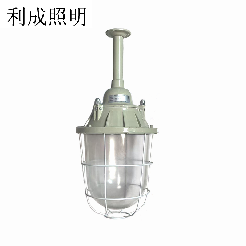 利成照明 LED防爆灯 250型 50W高清大图