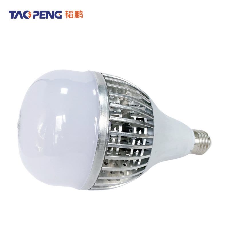 韬鹏 鳍片灯泡 50W 个图片