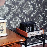 诺普声(Nobsound) MS-10D hifi 胆机电子管功放发烧胆机功放机高保真功率放大器 客厅家用USB无损播放