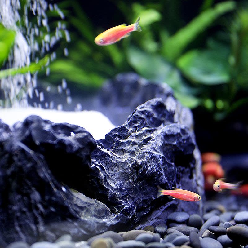 鱼缸生态水族箱时尚创意自循环流水免换水家用客厅中型桌面图片