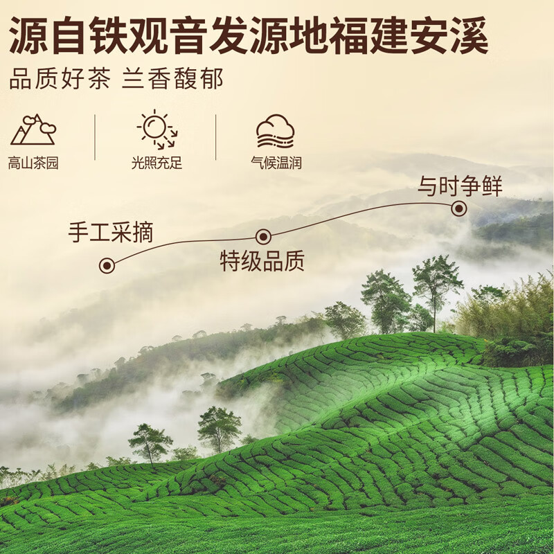 忆江南 铁观音茶叶礼盒送人乌龙茶清香型送父母长辈的礼物 125g龙跃凤鸣中号—铁观音高清大图