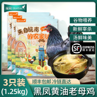 [苏鲜生推荐]雀淘 皖南黑凤黄油老母鸡2.6-2.9斤/只 3只装 新鲜现杀冷冻净膛竹林慢养走地鸡