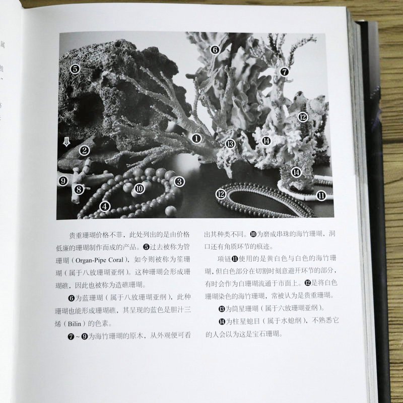[正版]2册 矿物与岩石完全图鉴+天然宝石百科 自然科普类爱好者书籍矿物与颜料调配配色知识研究