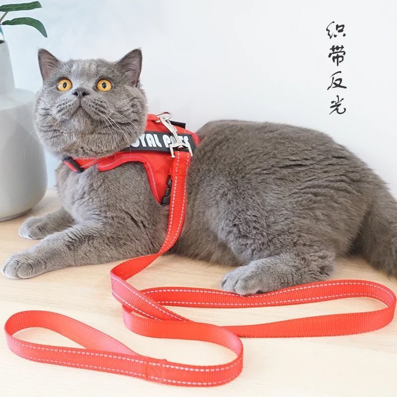 中国红[背带+牵引绳] S[5斤以内] 宠物猫胸背带防挣脱猫咪牵引绳背心式小型犬外出专用泰迪狗牵引绳