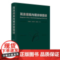 耳鼻咽喉内镜诊断图谱于振坤张永辉倪晓光喉镜鼻腔鼻窦耳鼻管肿瘤NBI频闪喉镜视频嗓音医学社区五官科影像学外科学内镜学临床阅