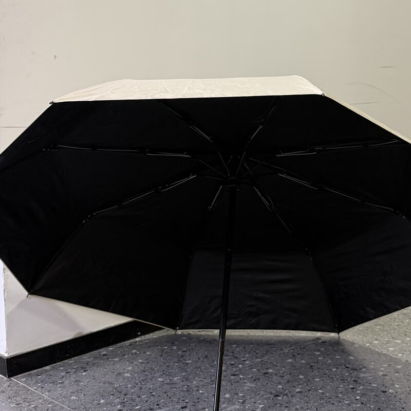 费雪(Fisher-Price) 自动晴雨伞 FP-Y012高清大图