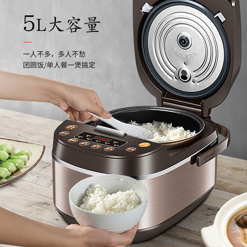 九阳(Joyoung)电饭煲电饭锅5L大容量土灶原釜智能预约 F-50FZ810