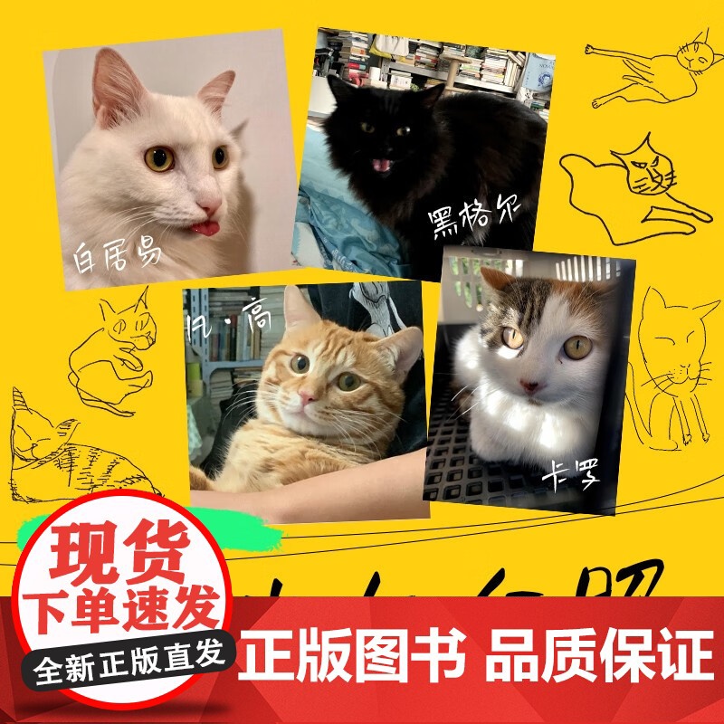 救猫咪 张君怡 著 纪实文学高清大图