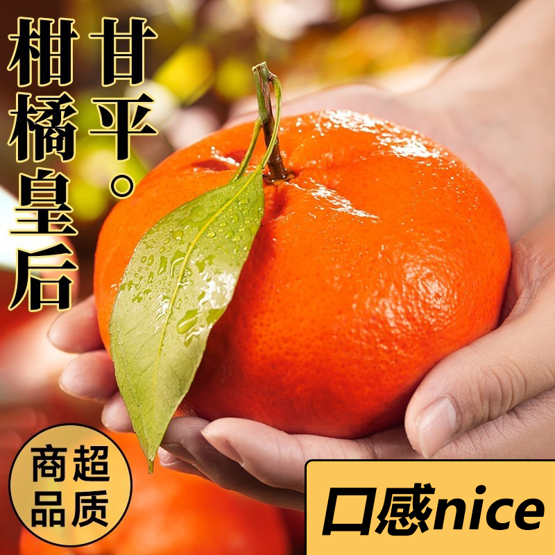 【西沛生鲜】四川甘平皇后柑橘 净重5斤 特大果 单果90mm+ 产地精选 甜美多汁 坏果包赔