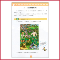 六年级下册科学书湘科版 小学课本教材教科书 6年级下册 湖南科学技术出版社 全新正版彩色