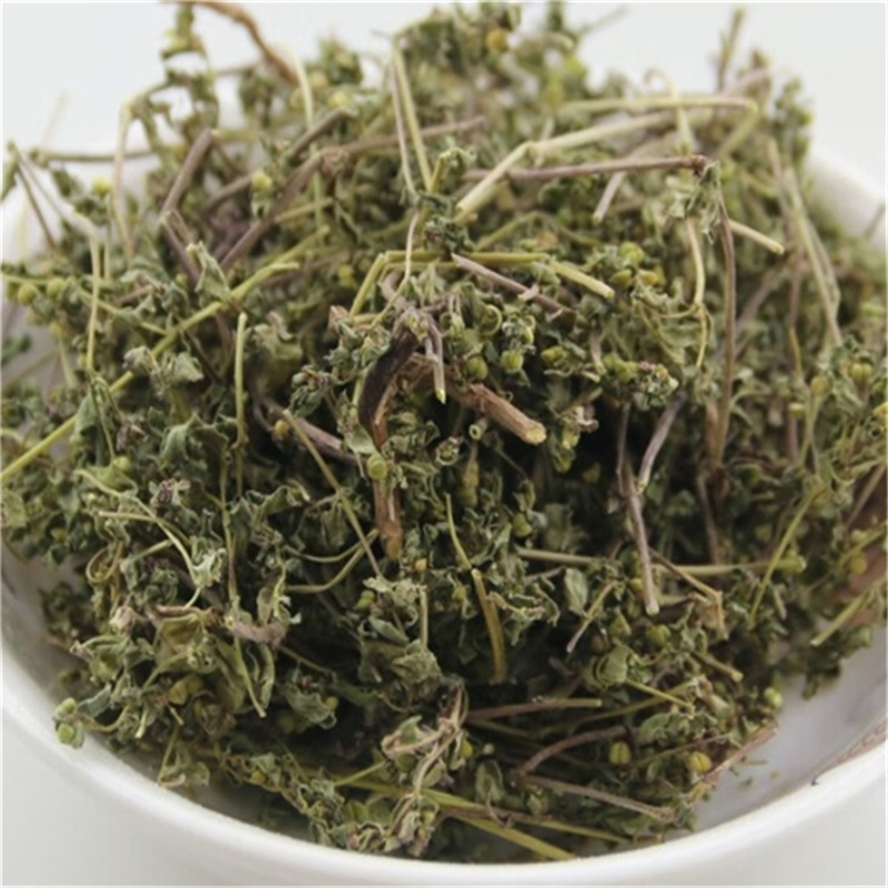 甄选地锦草100克别名斑花盖地血见愁红丝草乃汁浆草9260高清大图